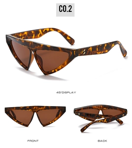 Detailed views of tortoise shell triangle sunglasses with dark brown lenses and metal hinges