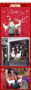Macro detail of Christmas reindeer wall decals with snowflakes on a glass window