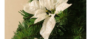 Macro view of a white glittered poinsettia flower on a festive pine Christmas tree