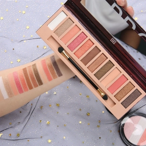 Nahaufnahme der 12-Farben Lidschattenpalette mit Arm-Swatches und Doppel-Pinsel