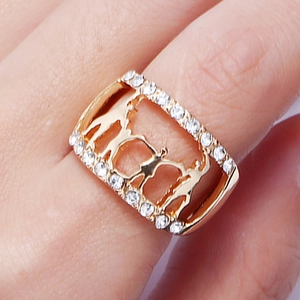 Macro view of gold ring featuring cutout family silhouettes and sparkling zircon stones