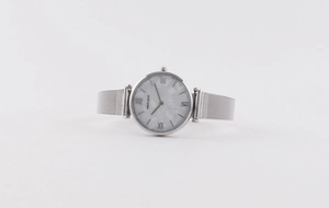 Macro detail of silver mesh strap and white pearlescent dial with Roman numerals