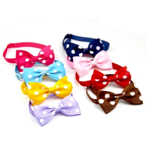 Set of eight colorful polka dot pet bow ties with adjustable straps on a white background