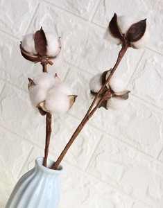 Natural dried cotton stems in blue ribbed vase against a white brick wall background