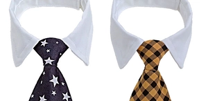 Detail view of pet neckties with star pattern and checkered design on shirt collars