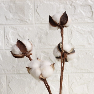 Handmade decorative cotton branch with soft white fibers for minimalist home floral DIY decor