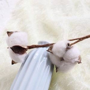 Decorative Natural Dried Cotton Stems Branches With Iron Wire Handmade DIY Floral Arrangement Home Decor