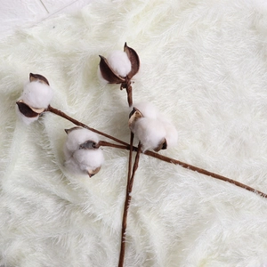 Natural dried cotton branches with four white fluffy bolls on soft white faux fur background