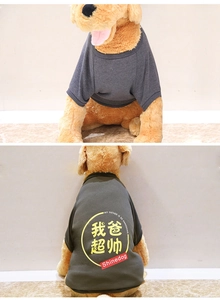 Detail of dark grey pet t-shirt with My Father Is So Handsome printed text