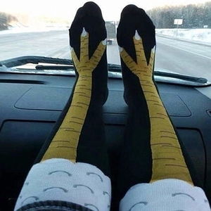 Close-up of novelty chicken leg over-the-knee socks with yellow feet and white feathers