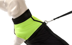 Detail of waterproof dog vest with durable zipper and heavy-duty D-ring attachment