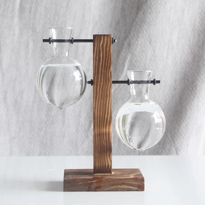 Detail of wooden stand with two transparent glass bulbs for hydroponic plants