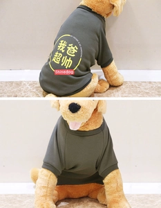 Detail of green pet T-shirt with My Father is So Handsome print on knit cotton