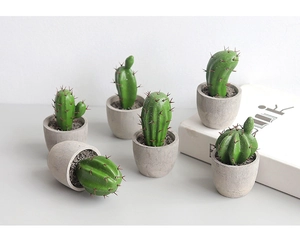 Detail of 6-piece artificial mini cactus set in grey pots for Nordic home decor