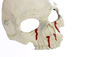 Detail of Halloween skeleton mask featuring realistic bone texture and red bloodstains