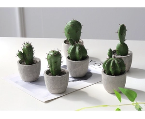 Detailed macro view of five artificial cactus plants in gray concrete textured pots