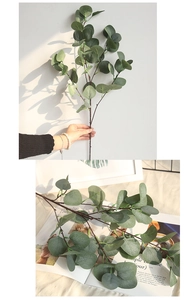 Detailed view of artificial eucalyptus branches with grey-green leaves for home decoration