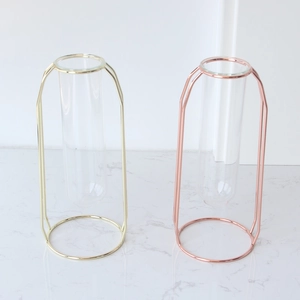 Detail of gold and rose gold metal tube vases with clear glass inserts for hydroponic plants