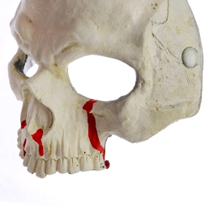 Close-up of skeleton mask with realistic bone texture and red blood paint detail
