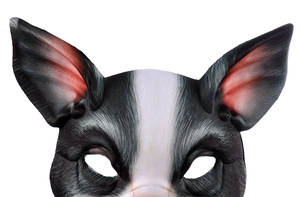 Close-up of 3D Boston Terrier animal mask showing detailed fabric texture and ear design
