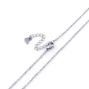 Silver stainless steel chain necklace with lobster clasp and a small heart pendant charm