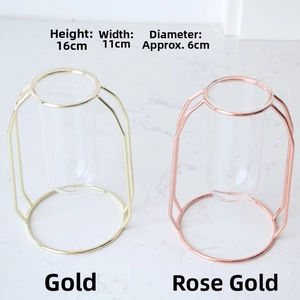 Detailed size view of modern geometric metal frames with glass test tube vases