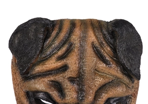 Detailed macro view of wrinkled latex texture and brown pug dog mask surface details