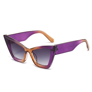 Stylish cat-eye sunglasses with purple-orange gradient frame and smoky lenses on white background