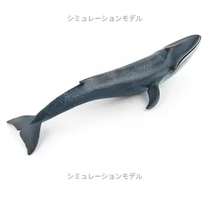 Realistic blue whale model detail with skin texture and dorsal spots on white background