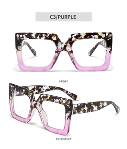 Detail view of square dual-tone eyeglasses showing tortoise and transparent purple frames