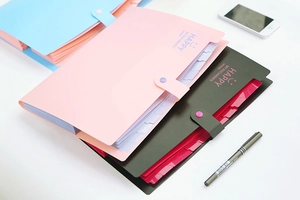 Dettaglio di organizer per documenti in PP a 12 tasche nei colori rosa, grigio e blu