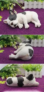 Detaillierte Mehrfachansicht einer schlafenden schwarz-weißen Französischen Bulldogge