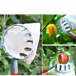 Detail of fruit picker tool showing metal serrated ring, cloth bag and harvest scenes