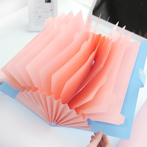 Cartella a soffietto blu in plastica PP con scomparti rosa e chiusura a scatto sicura