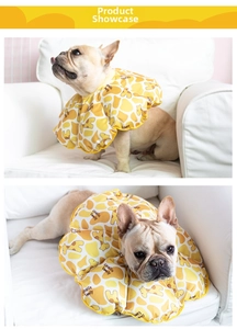 Detail view of yellow giraffe print pet recovery collar on a French Bulldog