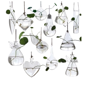 Detailed collage of various transparent glass hydroponic vases in multiple creative shapes