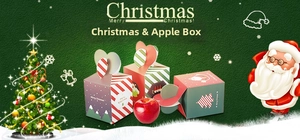 Detailansicht der Weihnachts-Apfelboxen mit festlichen Weihnachtsmann- und Schneeflocken