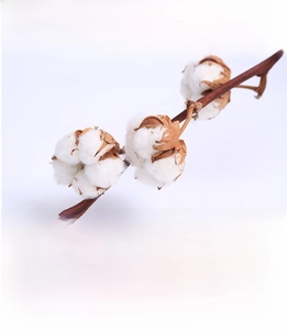 Macro shot of premium natural cotton fibers highlighting the soft breathable fabric quality