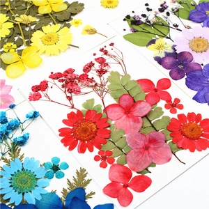 Dettaglio macro di vari fiori secchi colorati e foglie verdi per artigianato in resina