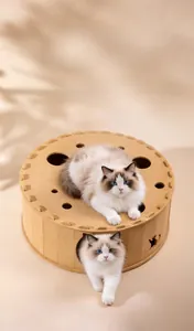 Dual-layer felt cat tunnel house featuring multi-hole design for interactive play and sleep