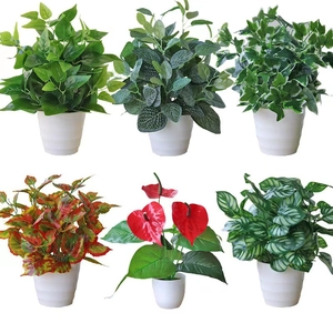 Artificial Potted Plants Faux Greenery Plastic Pothos Anthurium Peperomia Fake Foliage Minimalist Pot Desktop Indoor Home Decor