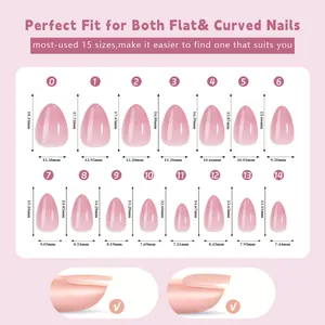 Size chart showing 15 almond nail tip dimensions with flat and curved comparisons