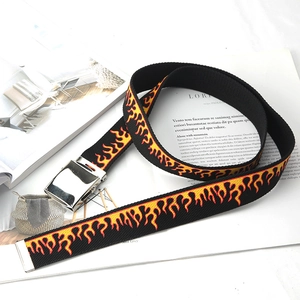 Detail of canvas belt with red flame embroidery and silver buckle on fashion magazine