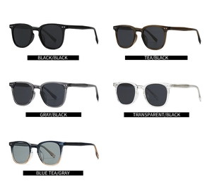 Detailed grid showing five classic polarized sunglasses in black, tea, grey, and clear frames