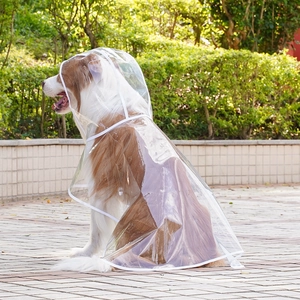 Transparent waterproof pet raincoat for large dogs shown on a Border Collie in a park