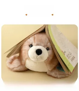 Dettaglio di un orsetto di peluche morbido sotto un libro aperto a tenda