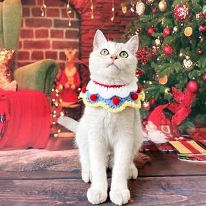 Gros plan d'un chat blanc portant un collier de Noël en tricot coloré avec des pompons