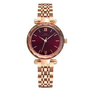 Women Wrist Watch Luxury Fashion Elegant Waterproof Faceted Glass Mirror Stainless Steel Link Strap Quartz Movement