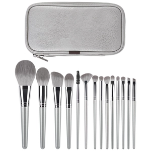 Set professionale di 13 pennelli da trucco argento con astuccio coordinato su fondo bianco