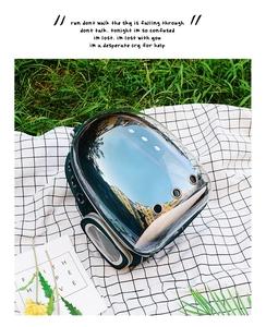 Detail view of transparent pet backpack on picnic mat with airflow holes and side mesh door